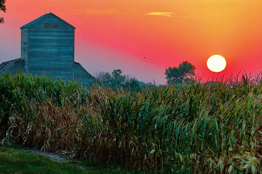 Sunset Barn